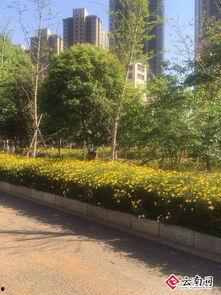 私家花园爆料视频,独家爆料带你领略隐秘奢华生活 第3张 私家花园爆料视频,独家爆料带你领略隐秘奢华生活 第3张