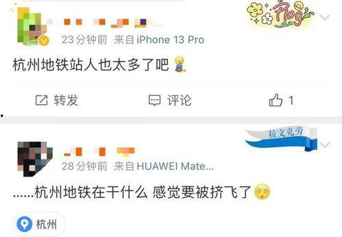 今日杭州最新爆料,揭秘城市热点事件背后的真相