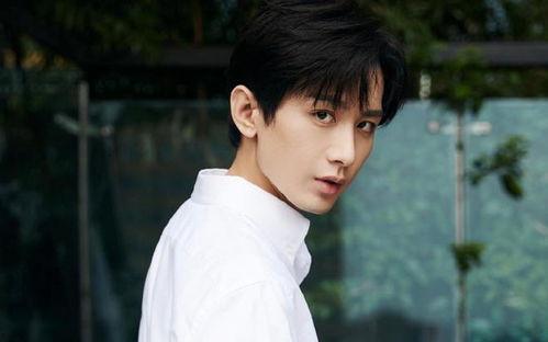 娱乐大爆料 成毅,娱乐大爆料中的璀璨星辉  第3张