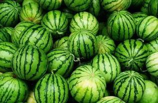 吃瓜资源群免费,免费畅享娱乐盛宴的秘密通道  第2张 吃瓜资源群免费,免费畅享娱乐盛宴的秘密通道  第2张