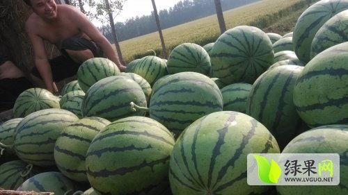 西安最新吃瓜爆料事件,揭秘神秘事件背后的真相  第2张 西安最新吃瓜爆料事件,揭秘神秘事件背后的真相  第2张