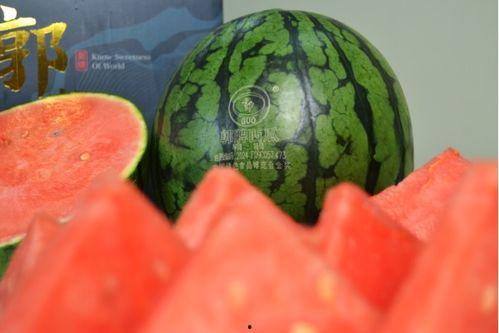 西瓜条八卦爆料怎么做视频,揭秘视频制作背后的秘密  第3张 西瓜条八卦爆料怎么做视频,揭秘视频制作背后的秘密  第3张