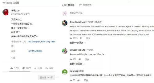 博主爆料齐柏林是谁啊视频,博主爆料背后的神秘人物  第3张 博主爆料齐柏林是谁啊视频,博主爆料背后的神秘人物  第3张