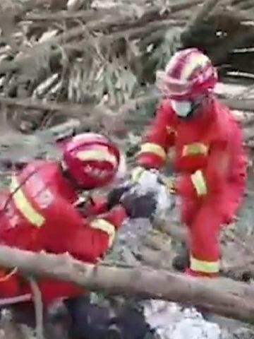 飞机失事爆料视频播放,揭秘飞机失事现场视频背后的真相  第2张