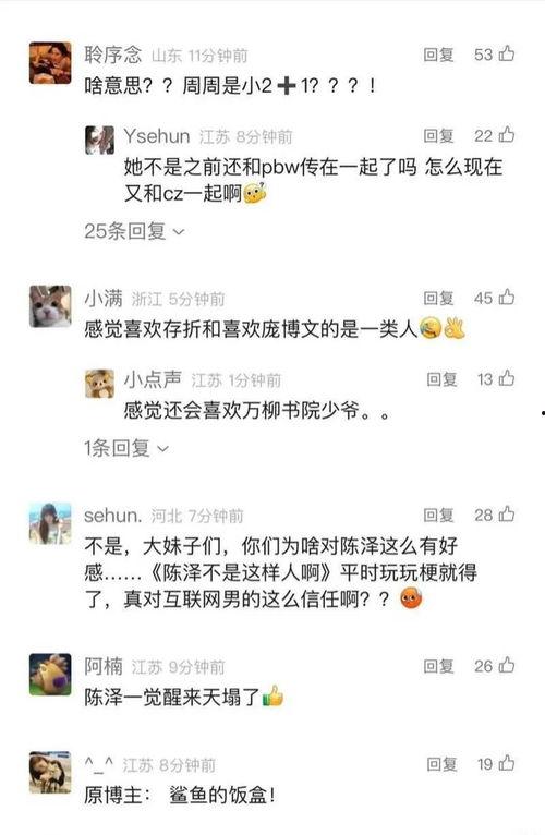 陈泽最新爆料视频在线观看,事件真相与幕后黑手全解析  第2张 陈泽最新爆料视频在线观看,事件真相与幕后黑手全解析  第2张