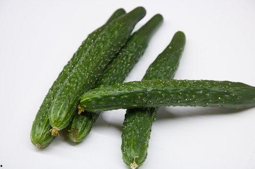 吃瓜娱乐营养,营养生活新风尚