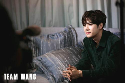 王嘉尔最新爆料视频大全,揭秘明星幕后故事  第3张 王嘉尔最新爆料视频大全,揭秘明星幕后故事  第3张