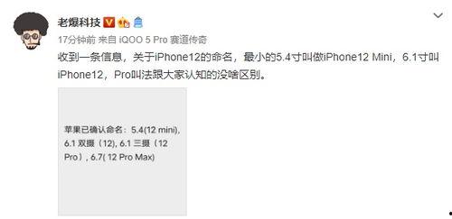 最新苹果12爆料下载,颠覆性设计与强大性能前瞻  第3张 最新苹果12爆料下载,颠覆性设计与强大性能前瞻  第3张