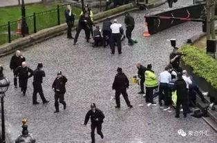 绵阳凯厦砍树事件爆料视频,揭秘校园暴力背后的真相  第2张 绵阳凯厦砍树事件爆料视频,揭秘校园暴力背后的真相  第2张