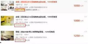 最新爆料房租出租信息,城市核心地段房租出租,价格透明抢眼!  第2张 最新爆料房租出租信息,城市核心地段房租出租,价格透明抢眼!  第2张