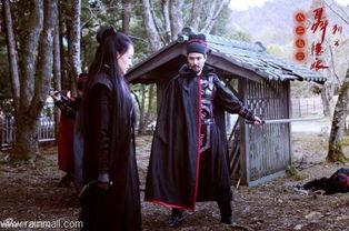 刺客聂隐娘在线观看,剑影江湖，侠骨柔情  第3张