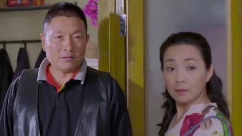 婆妈女婿在线观看,温馨家庭生活喜剧在线观看攻略  第2张 婆妈女婿在线观看,温馨家庭生活喜剧在线观看攻略  第2张