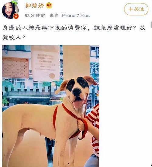 向太最新爆料动态,揭秘娱乐圈惊人内幕  第3张